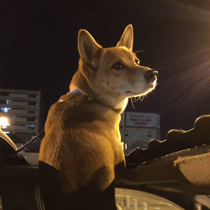 Dfc337f5 6bce 4c21 a5bd d7cbb6968e48 1667651585543