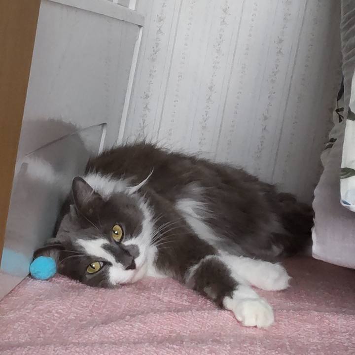 Dfc36914 8888 45e8 9282 4d4ab268ad7d 1690081653275