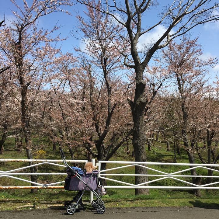 Dfc37525 1ca5 4616 9ee2 c0b50ecba32a 1555857675533