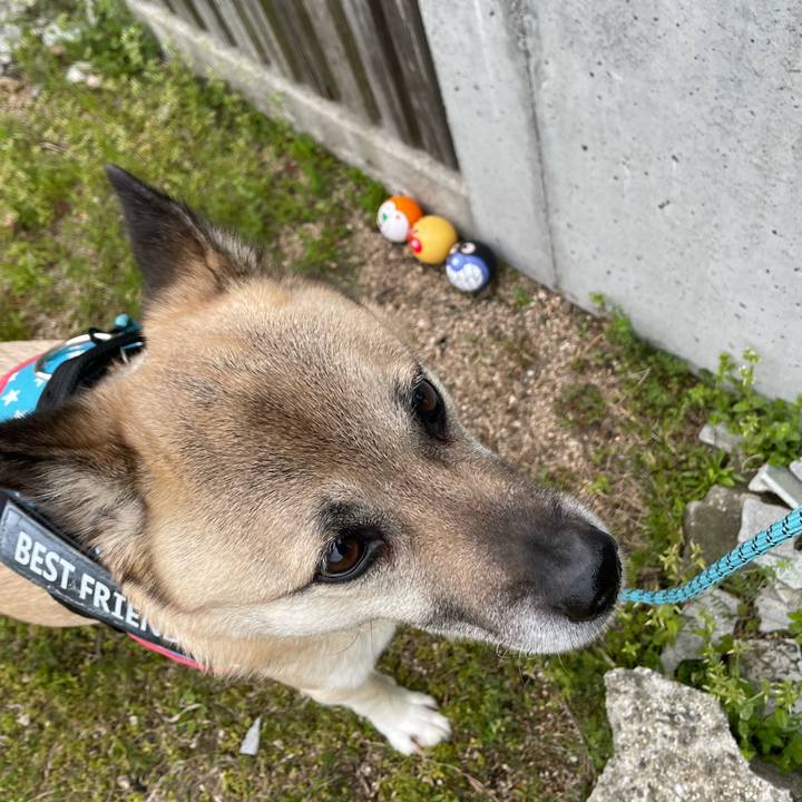 Dfc3b794 f958 48ef b690 ce8b34fc7eb2 1711629330115