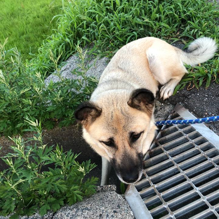 Dfc44975 c6f9 4d0a a799 12d938662461 1531307428750