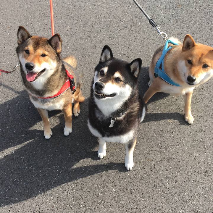 Dfc44ea3 18b1 4150 a20c 11a5ec3e9e77 1539914275703