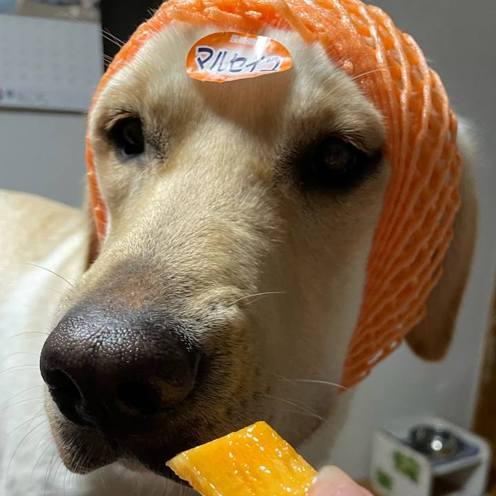 Dfc4616b 7029 4100 88fe 30408e260a9e 1657277954449