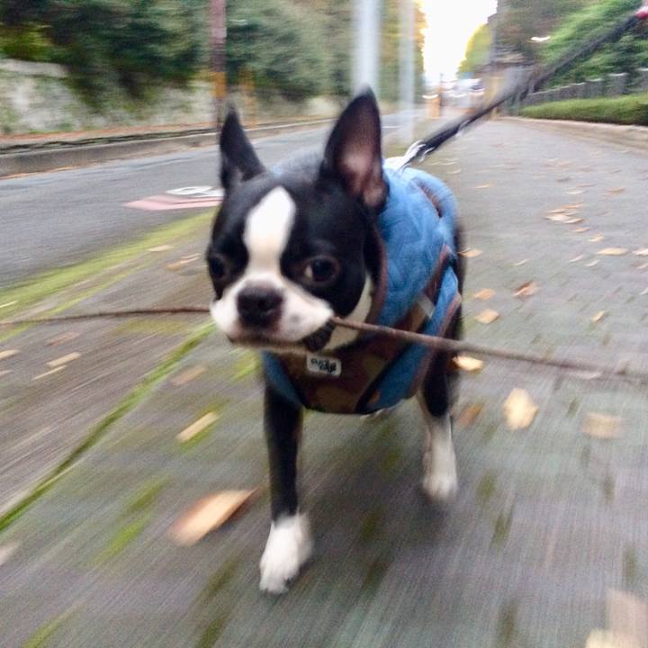 Dfc46bed 3d15 4401 aca3 71cf2a694253 1510738501135