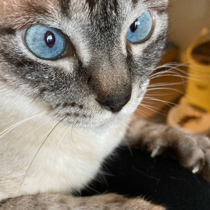 Dfc4bef2 34c9 44d7 8e9c ab6588a122b3 1716969082721