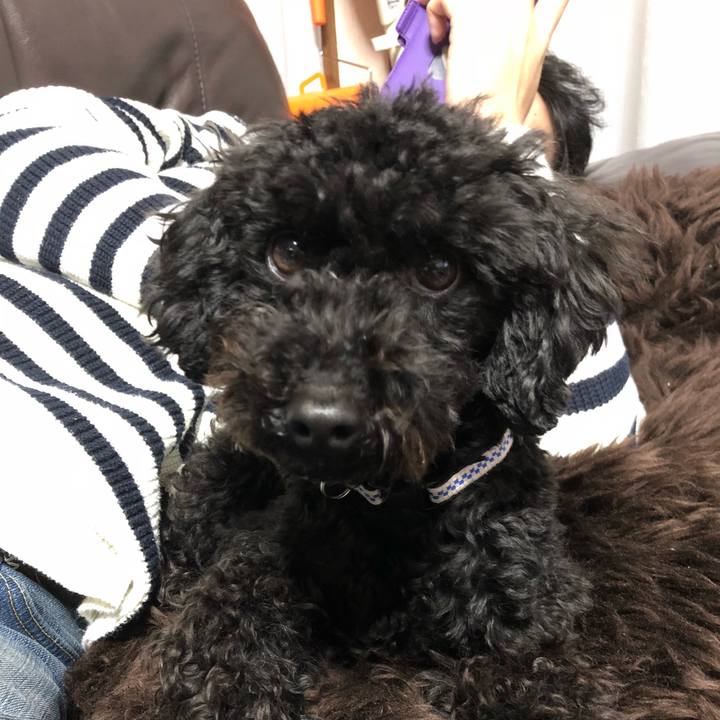 Dfc4d667 2ba7 4d3a b48a 891f034d6918 1518782036183