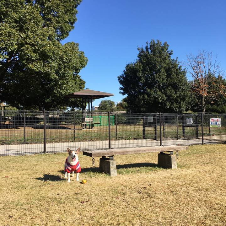 Dfc4e09d 8645 4a31 8ae7 781f59c9f13c 1636850098899