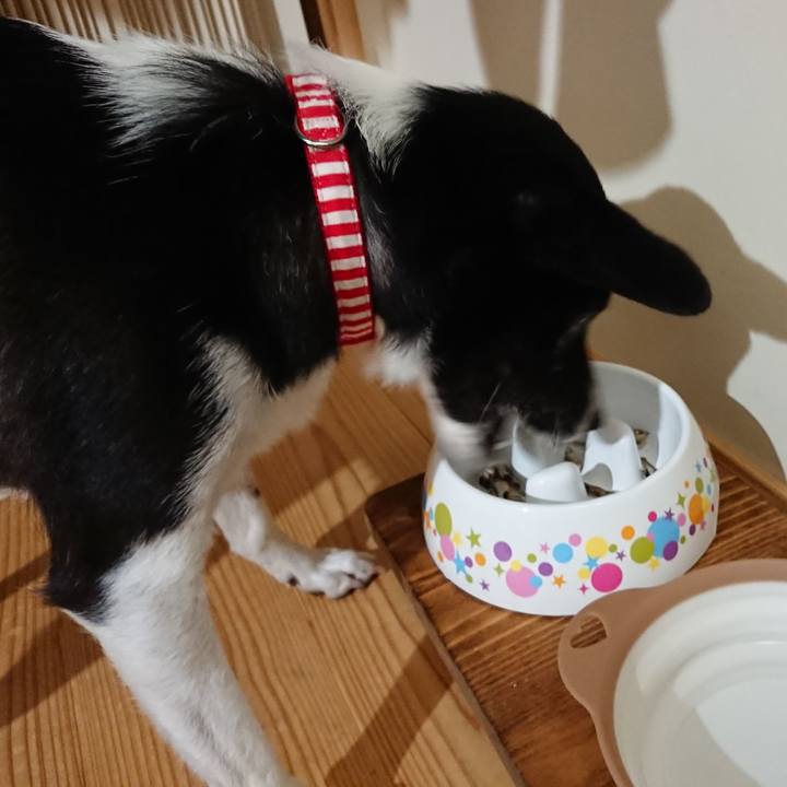 Dfc4e40a 329d 4fa5 b1e1 041d89e9e085 1602940125723