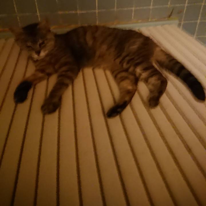 Dfc5245f b81b 413a 8423 f565495b5bc0 1564057965829