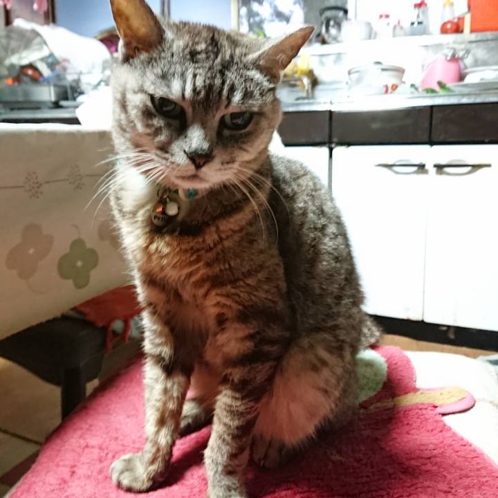 Dfc53af3 8eb2 4b25 9c1b ccbe1a5d3d92 1565034325820