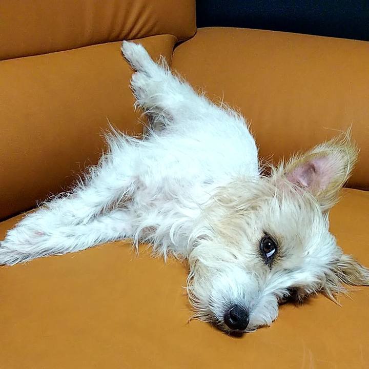 Dfc5c6c6 46ab 4ecd b76f d42820cbab8d 1532699734714