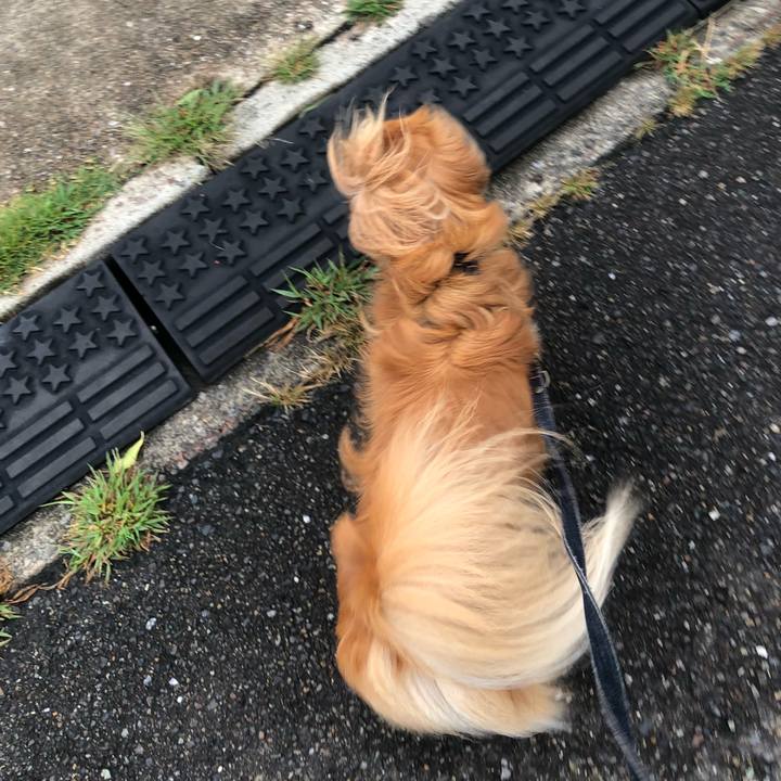 Dfc5cf14 c77b 49ea 9ee4 46f7ae76739c 1535059731000