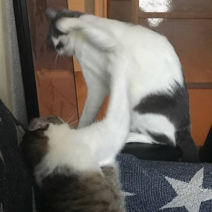 Dfc5ee20 d4c1 437c b582 0378db9bbd19 1624520489415