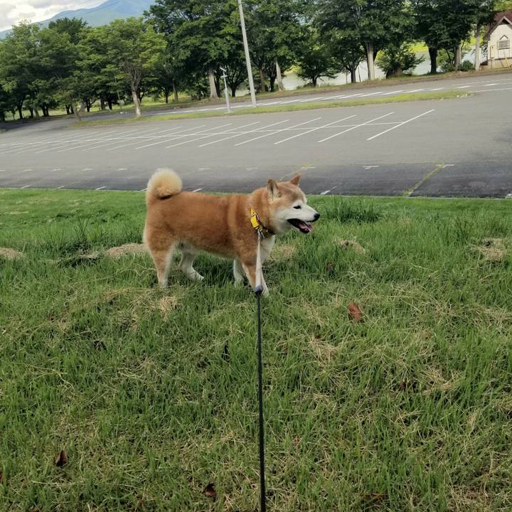 Dfc5f82f a3dc 40b9 868b 2771dce4f4a2 1690875213881