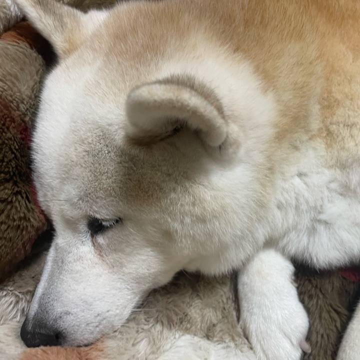 Dfc6199b 995f 4a13 9415 17b9a5392148 1706355309904