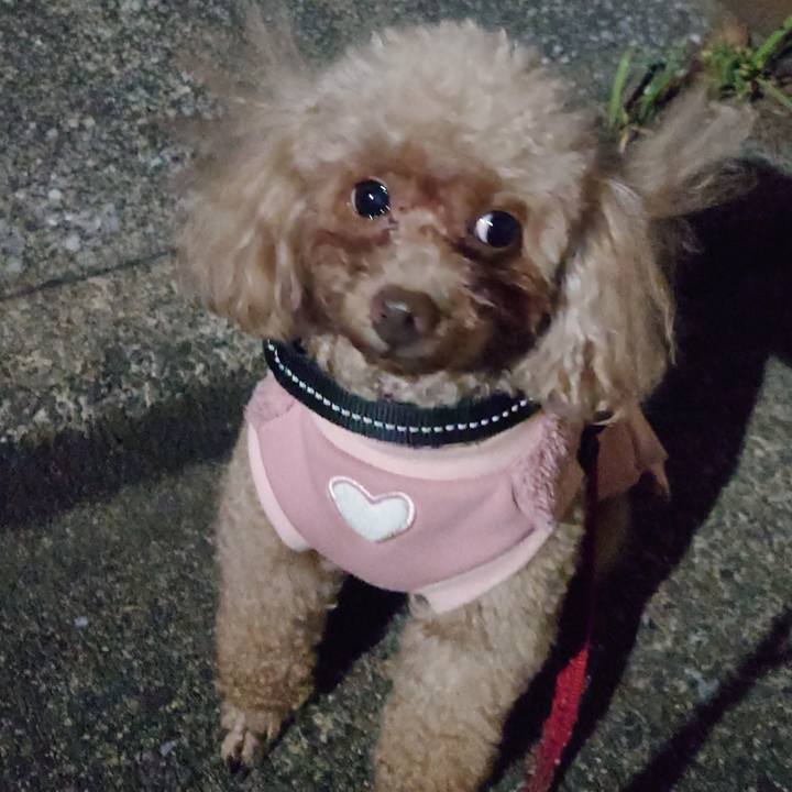 Dfc65d68 ab82 4144 87cf d4e3fa1df52e 1746273094890