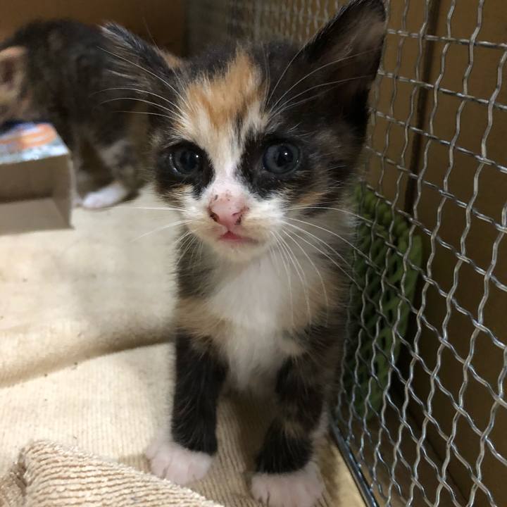 Dfc67595 2ab9 4962 b85a 398c0e43f4be 1546869691052