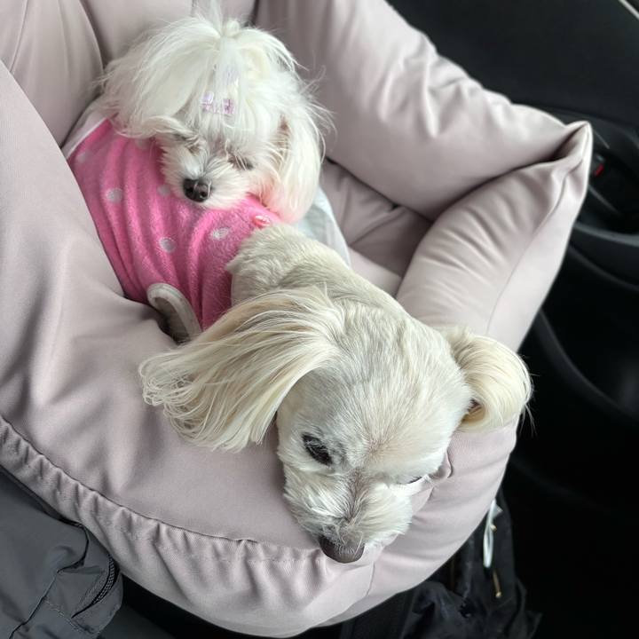 Dfc69285 103c 44c6 922b 5951ce518660 1761906744177