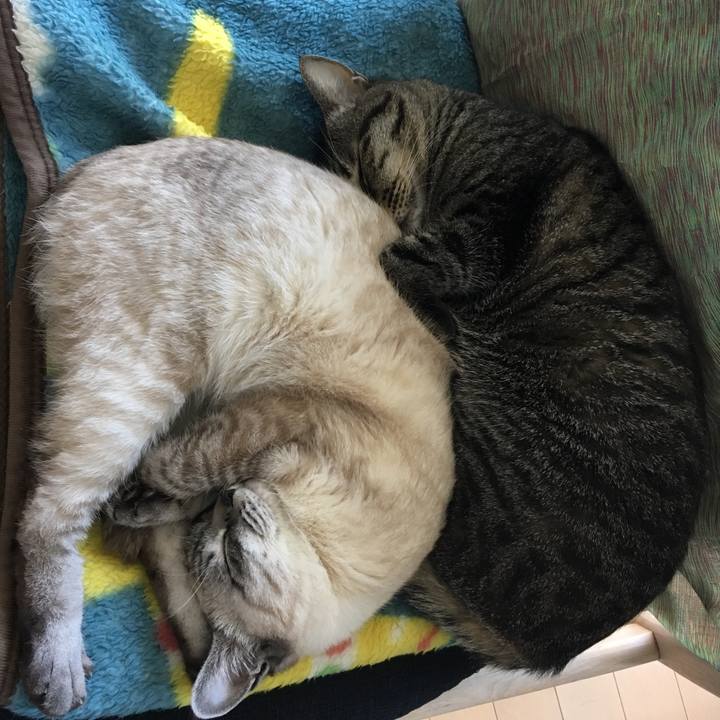 Dfc6b5be c84b 49d4 9ad2 726113283bf0 1552450058775