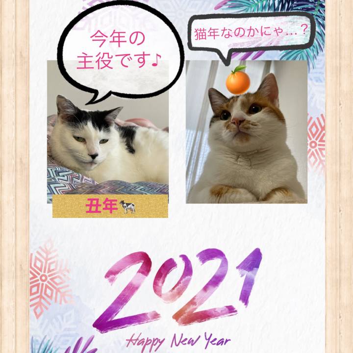 Dfc6c939 7ff9 41d2 8287 e5883f35cff2 1609468090739