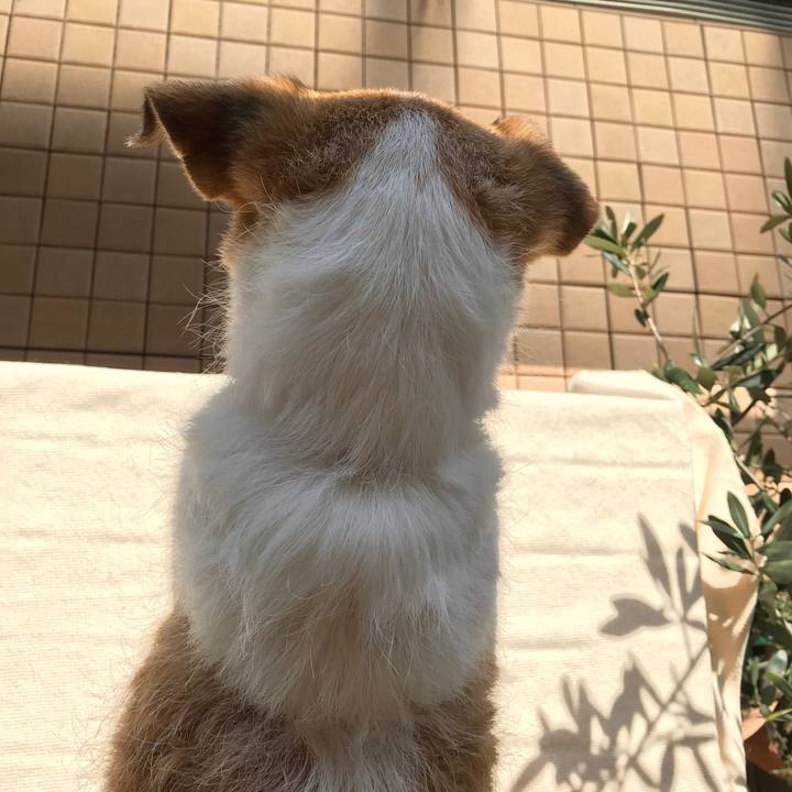 Dfc6d89b 6dbc 4abc b8d8 bbbc13dd72e0 1582437612296