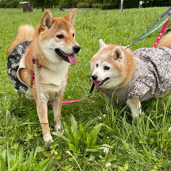 Dfc6dc47 68eb 4990 ae72 f464f07b8783 1727131002002