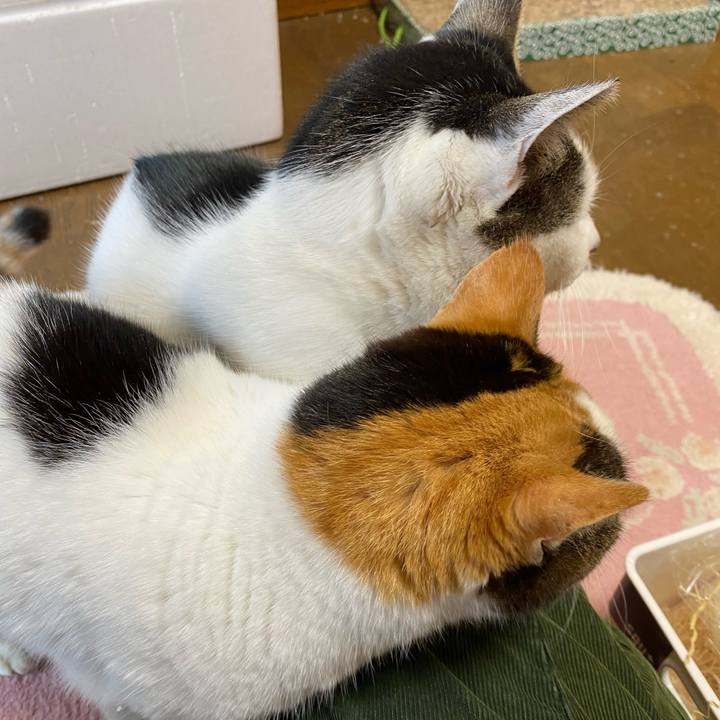 Dfc6dfaf 14f1 4c9e b698 739ebd05e443 1640085987758