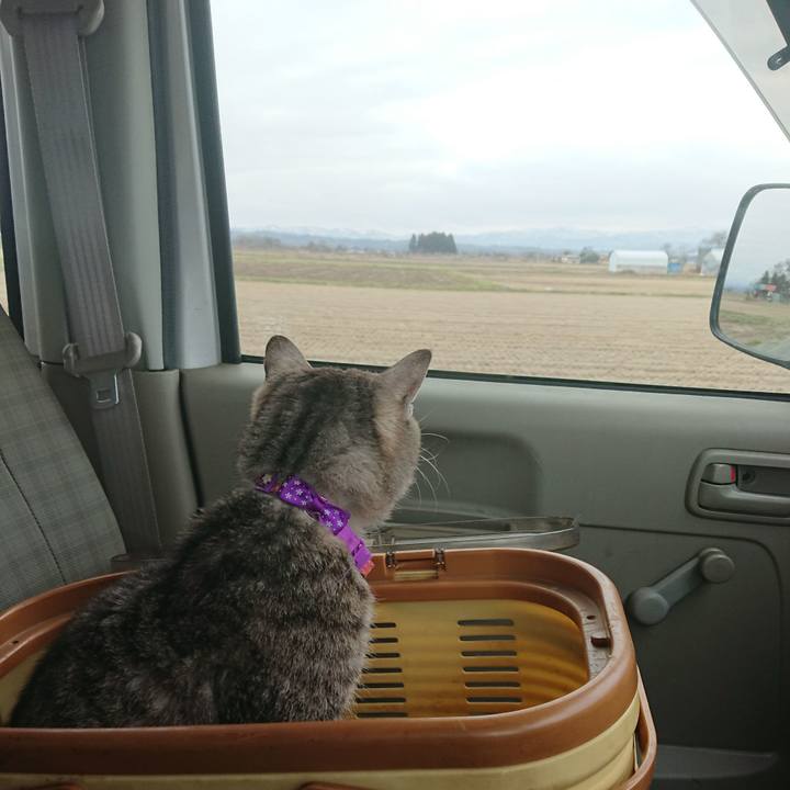 Dfc6fc21 28f4 4177 bd1f 8e224fff6dc4 1584169147061