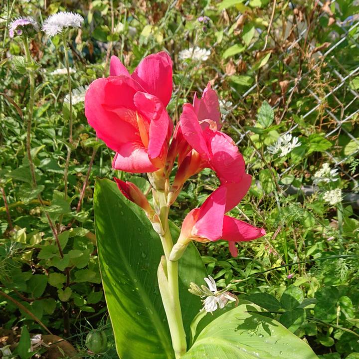 Dfc71b80 d345 410f 9609 b66766fd6442 1654226664130