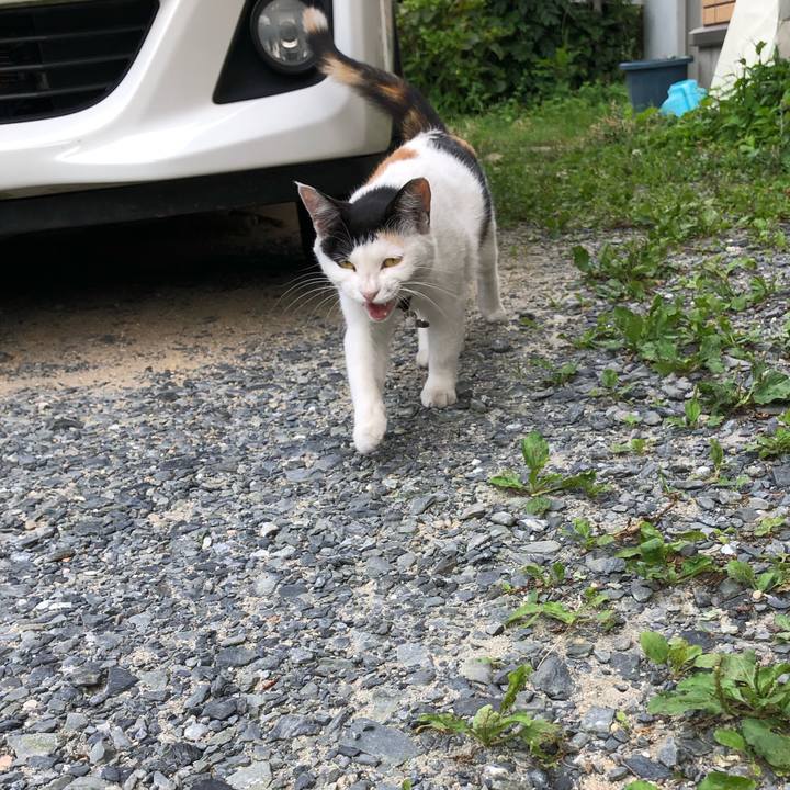 Dfc745bb bd20 42f0 be71 ba76a51866bc 1626908916894