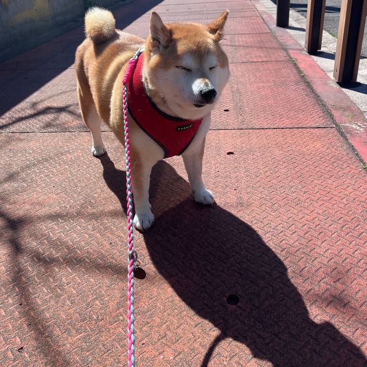 Dfc75c9c 820b 43cb bb81 fedd01973c77 1709959948596