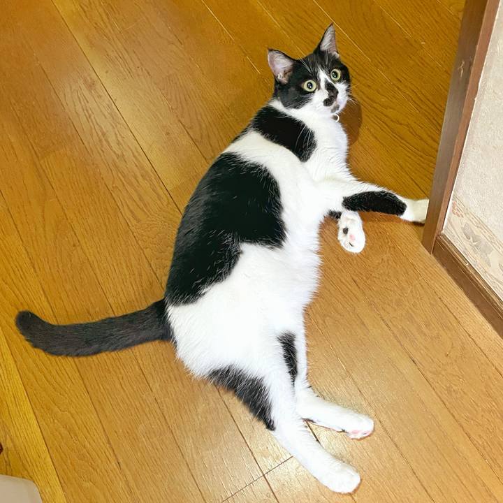 Dfc7935e e856 4aea a995 5ad2e5bbf89f 1755816751773