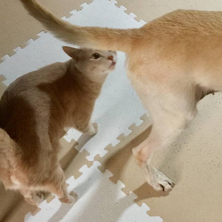 Dfc79c43 ff00 457f 8c95 921a6bfb47c6 1597214258642