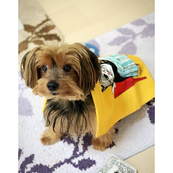 Dfc7b1d1 c30e 4b52 a2a8 05d0b56c2893 1566014187810