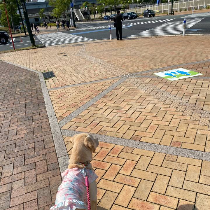 Dfc7cfd8 aeb7 4874 8c94 f705b2d098e5 1619688130351