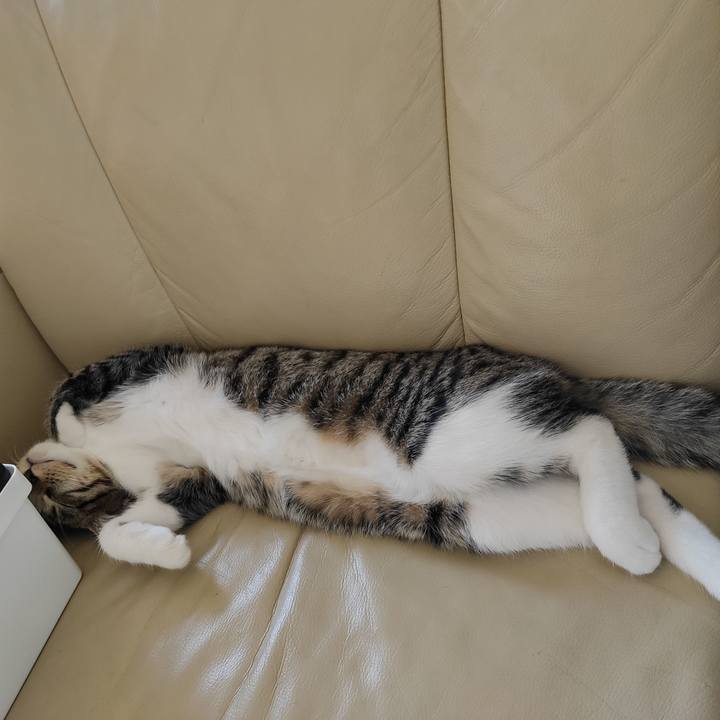 Dfc7f18a 6c76 43e9 989a 77f0681e3ec8 1631683477169