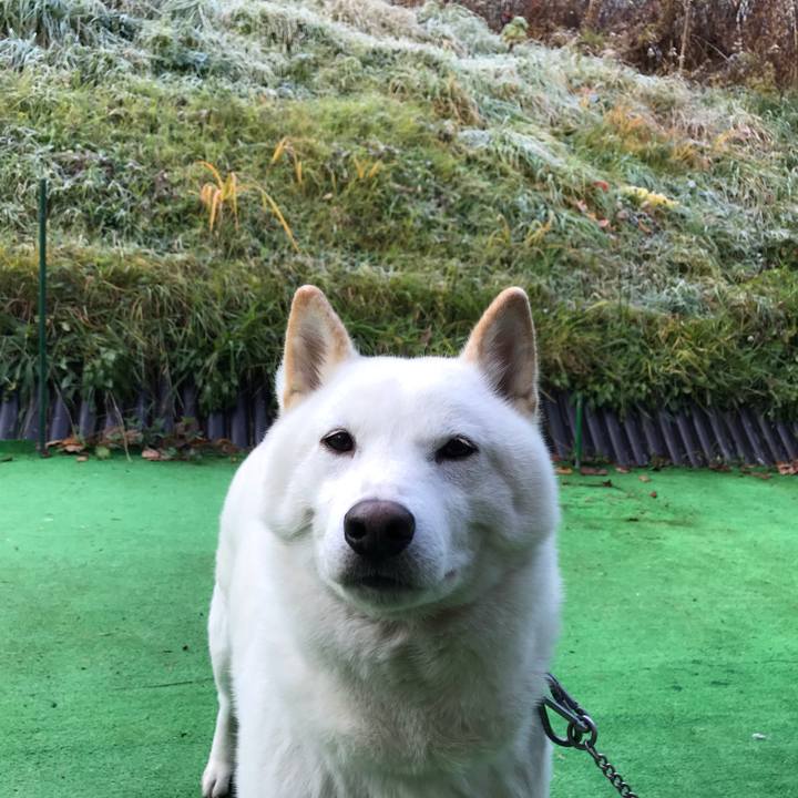 Dfc7f3f9 591a 4c76 abe3 525a9612eaff 1541670524151