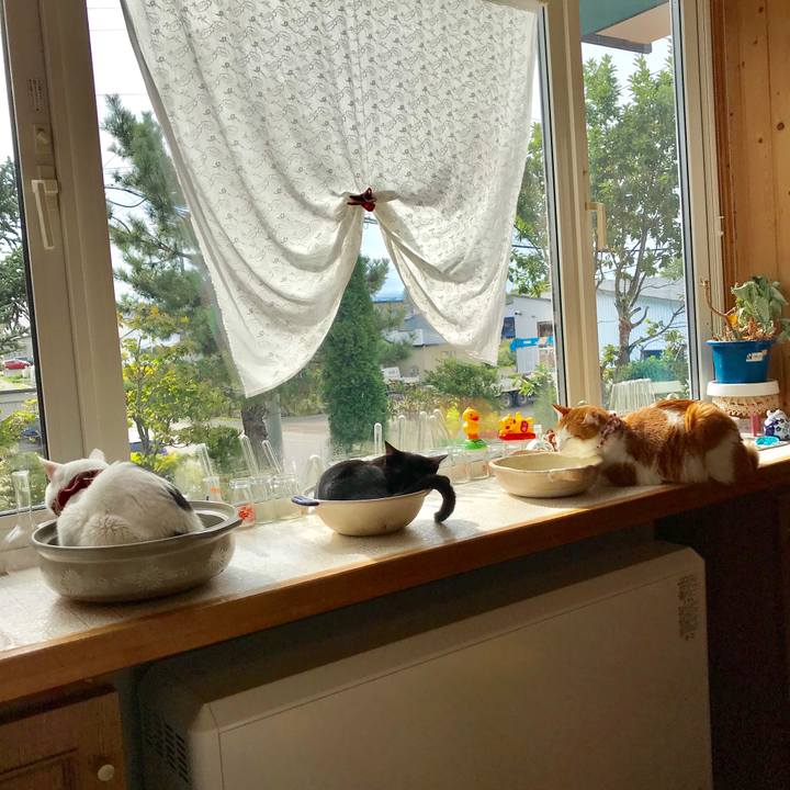 Dfc83996 a4fb 4c71 9098 71bcf06556b5 1569110975460