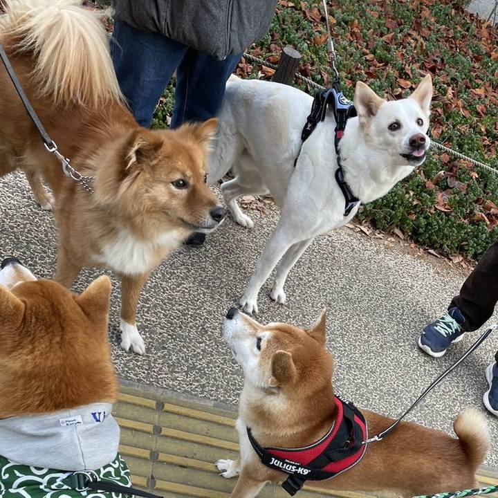 Dfc85461 994d 4f22 89c6 f0e002f30580 1670721386687