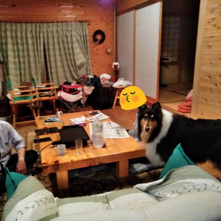 Dfc85713 be3c 40c5 a4cd e1fe7210e329 1563202848258