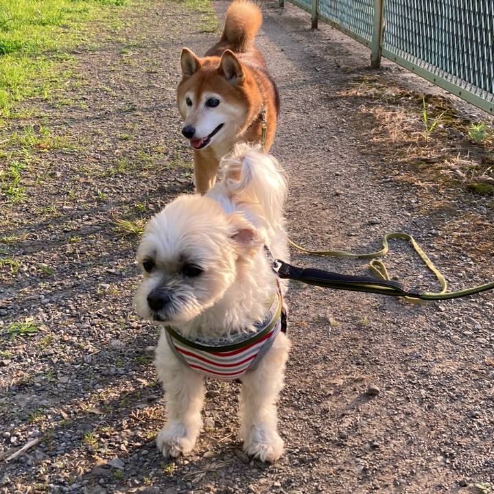 Dfc8687a 9a04 4a07 85ef 9cf262e2cade 1681993774905