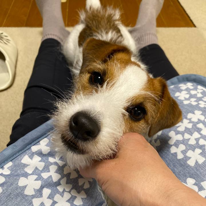 Dfc88a8f e601 41bd a538 4455968825ba 1715433661201