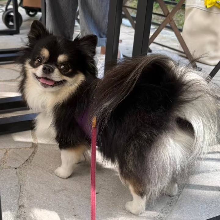 Dfc8b2ab 00e6 4e32 88a8 f64e7f58ba88 1763026724742