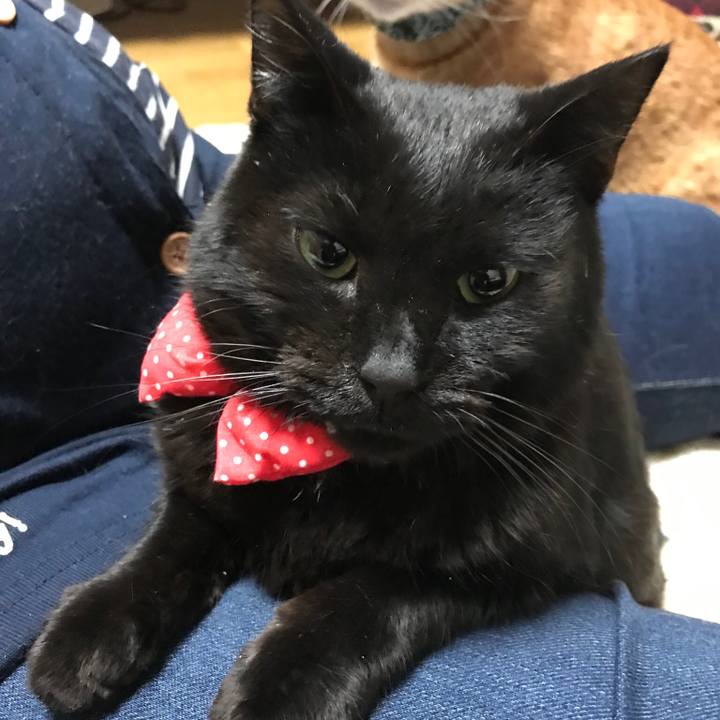 Dfc909be 7b3f 4be8 ba97 6b6c708d61d6 1561249014040