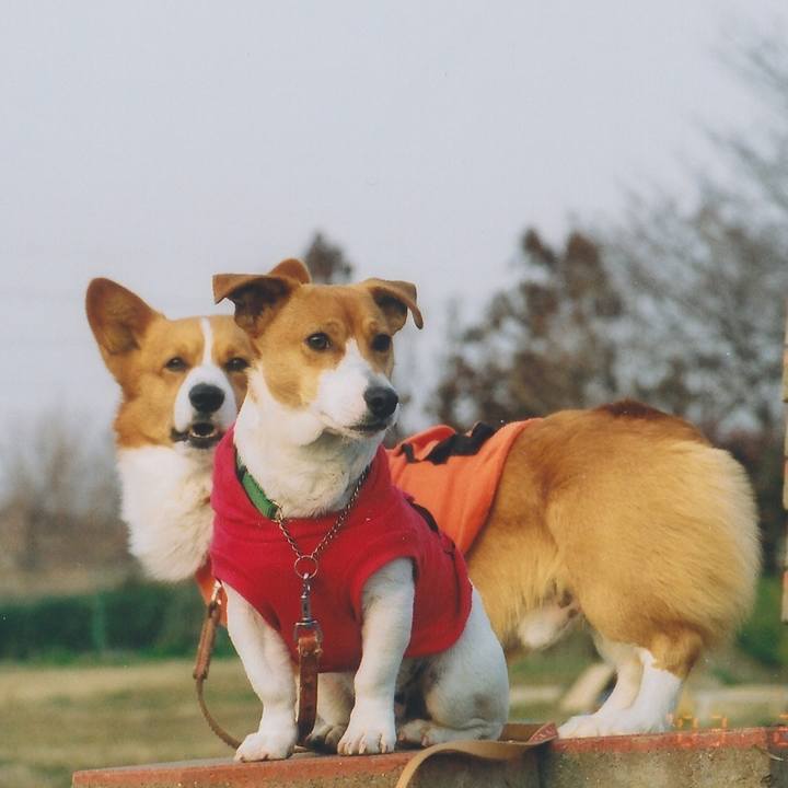 Dfc956b3 6316 40ed b1a8 d836358d9304 1546141957639