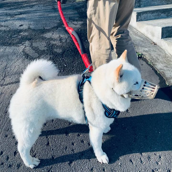 Dfc994db 4249 42c9 8a39 4b6c5042961e 1681771227378