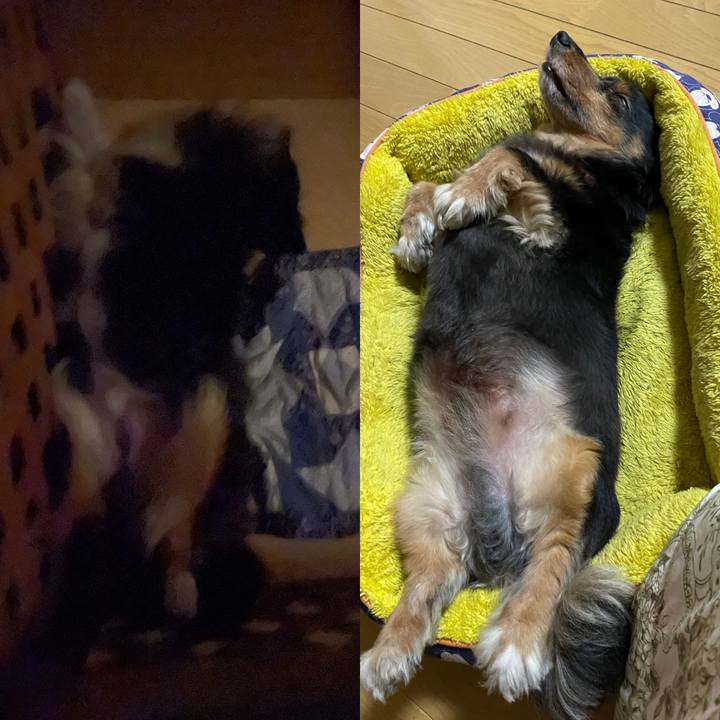 Dfc9bb08 ce84 4d78 b434 1a342f8dc9bf 1630530721523