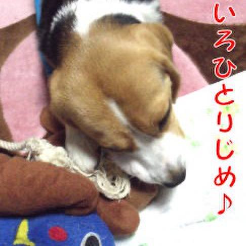 Dfc9cd89 4c2c 4ec9 8aa4 0b82f683cd0e 1705879111336