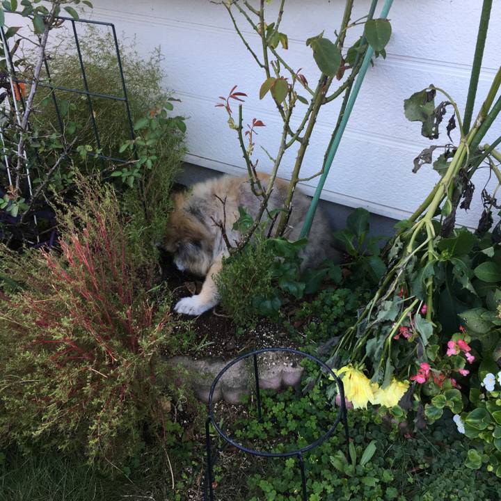 Dfc9e3dc 2443 4dba 9341 ca5a755a6974 1619497124221