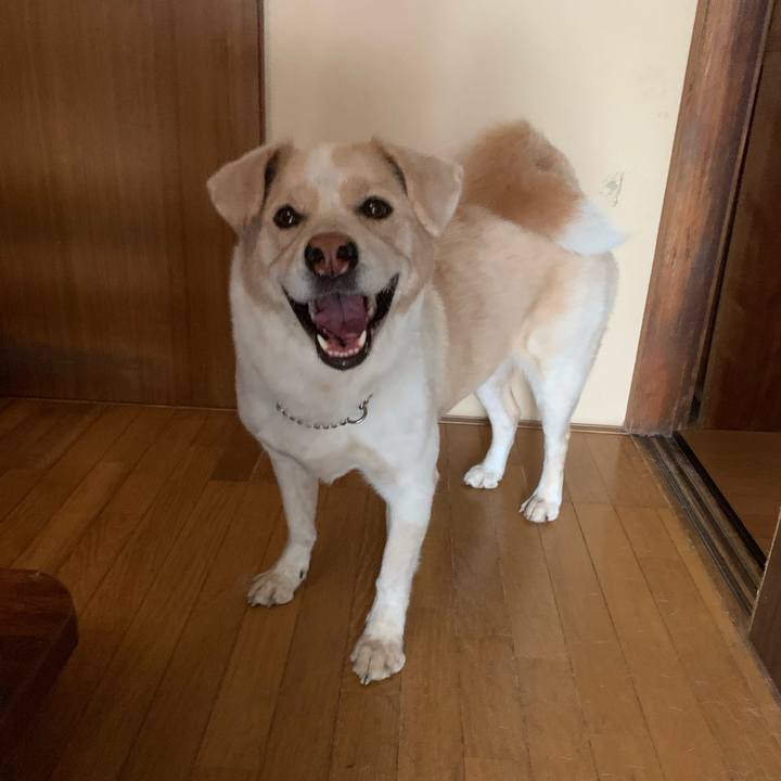 Dfc9e6e8 6e3a 4c46 9317 95c8cdcb6aa7 1563928830134